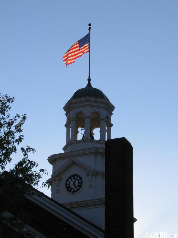 Cannon County Tower & Flag