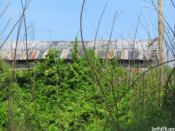 See Beautiful Rock City See Beautiful Rock City