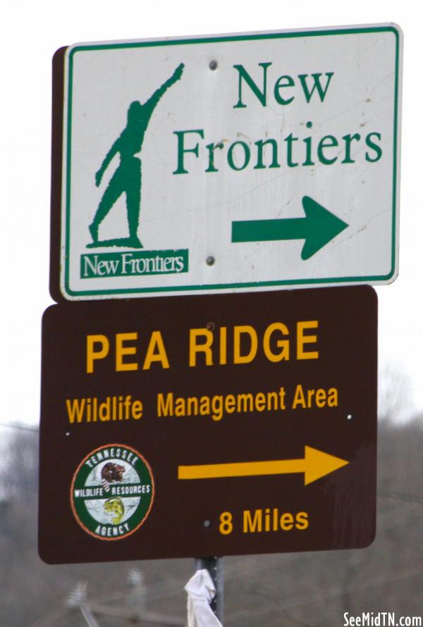 Pea Ridge WMA