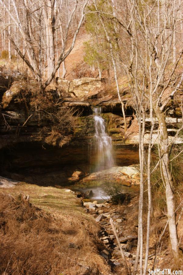 Hickman Springs Waterfall D - View from the road