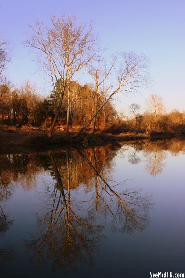 The Still Waters of the Piney River