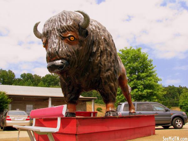 Loretta Lynn's fake bison