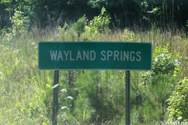 Wayland Springs
