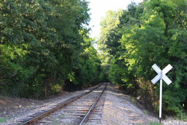 Train Tracks at Old Jackson Highway