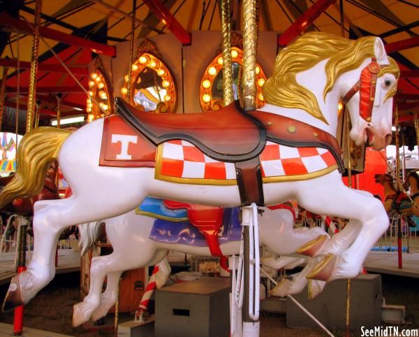 2010 Lincoln Co. Fair: UT Vols Carousel