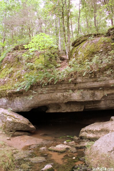 Berlin Spring - Marshall County, TN Berlin Spring - Marshall County, TN
