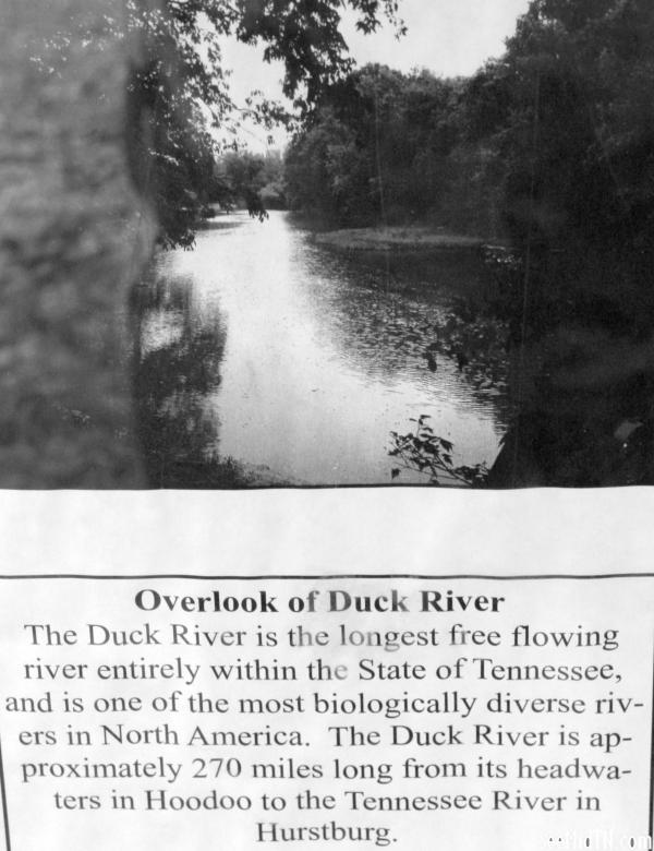 Wilhoite: Overlook of Duck River