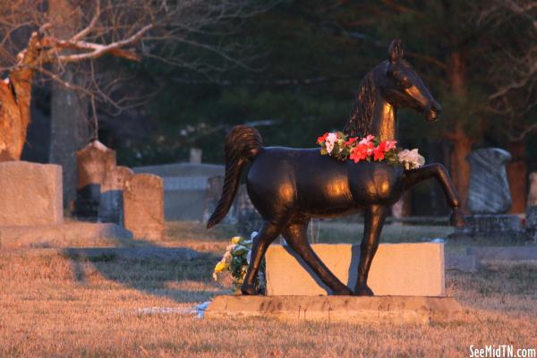 Rural Cemetery with a Marker for a Horse