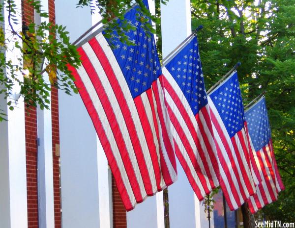 U.S. Flags at the back of the Putnam County Courthouse