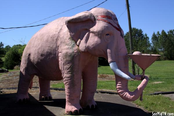 Pink Elephant with Martini Glass