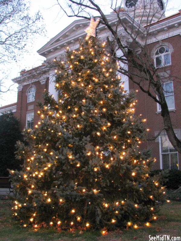 Rutherford County Christmas Tree 2011