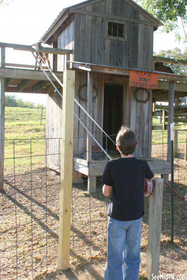 Walden's Farm: Feeding the goats