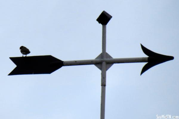 County Courthouse Wind Vane