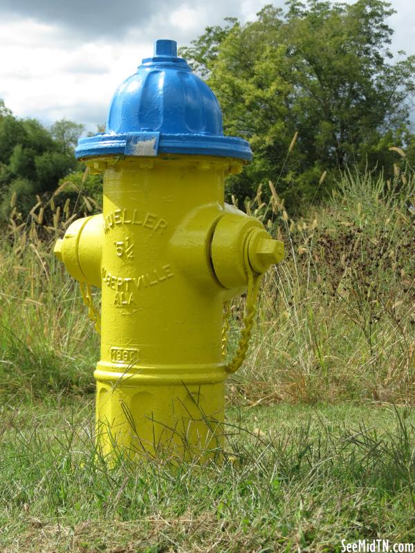 Murfreesboro Hydrant