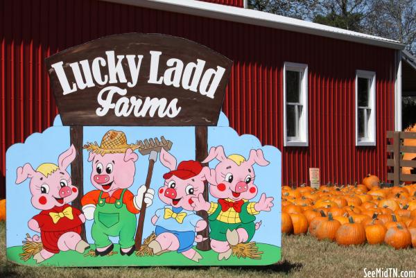 Lucky Ladd Farm