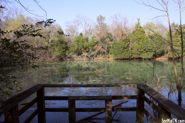 Sharp Springs Natural Area Sinkhole