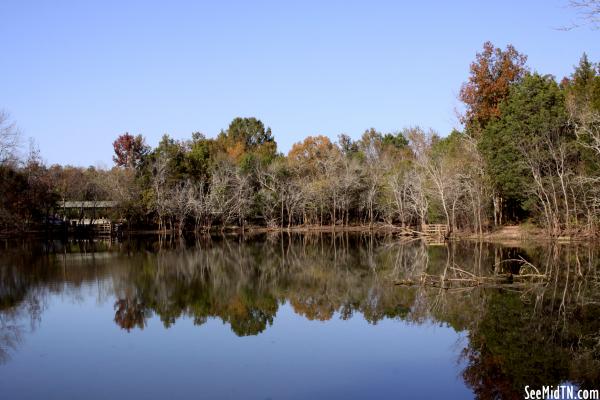 Sharp Springs Natural Area Sinkhole