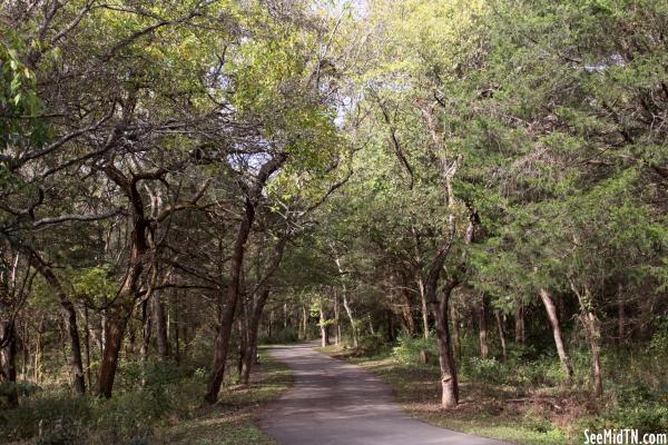 Lytle Creek Greenway