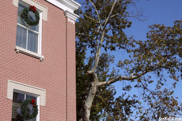 Courthouse with Wreaths and Tree