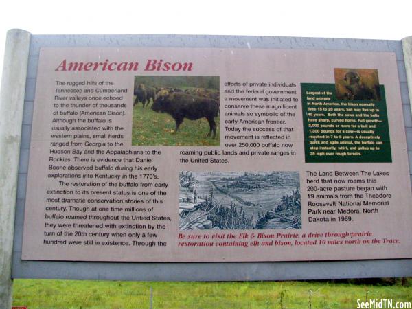LBL American Bison marker