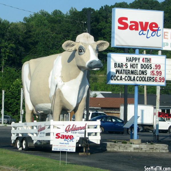 Goldenrod Dairy Food cow
