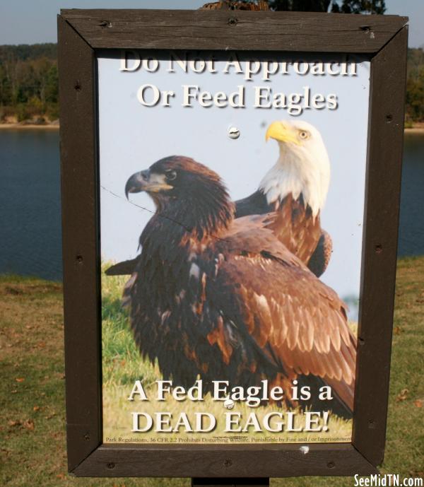 Fort Donelson: Don't feed eagles