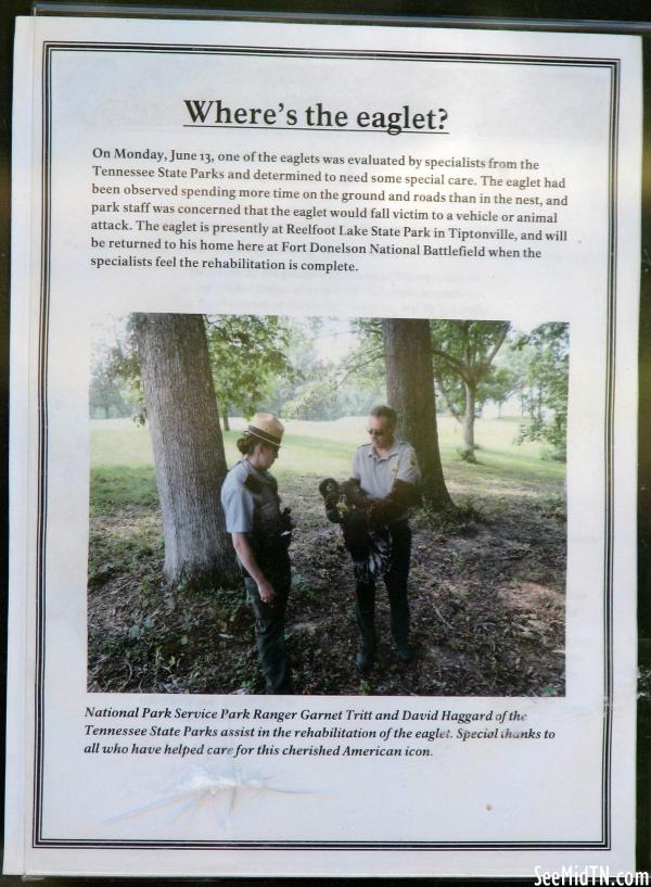 Fort Donelson info
