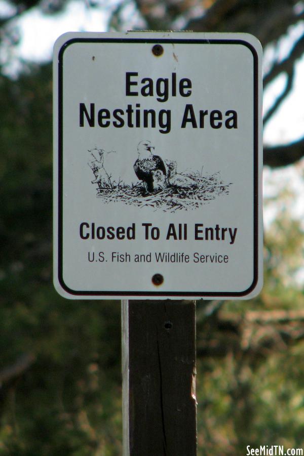 Fort Donelson Eagle Nesting Area