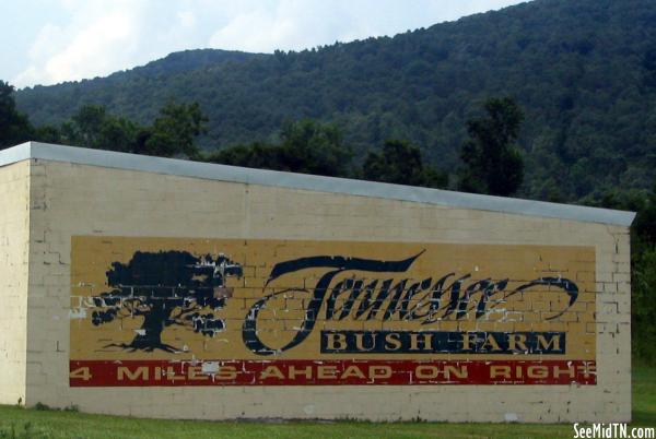 Tennessee Bush Farm sign