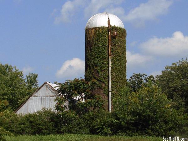 Ivy-Covered Silo