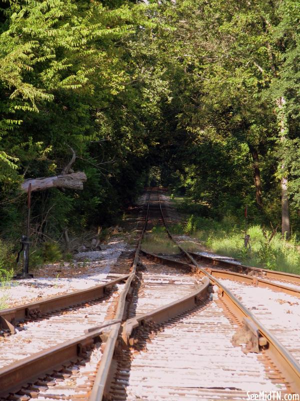 Railroad Tracks in Morrison