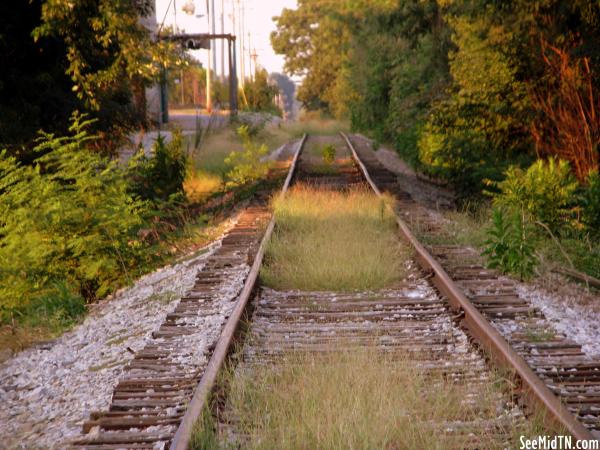 Railroad Tracks in McMinnville
