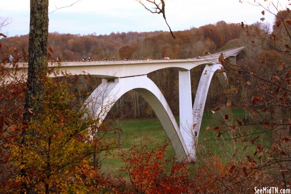 Natchez Trace Parkway Bridge in November