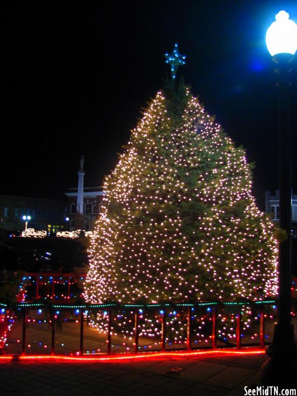 Franklin Christmas Tree 2006