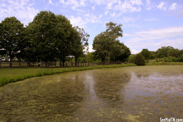 Ravenswood Pond