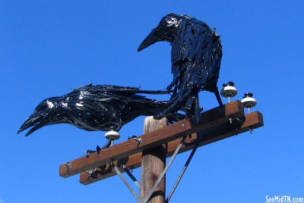 Raven on an electric pole art
