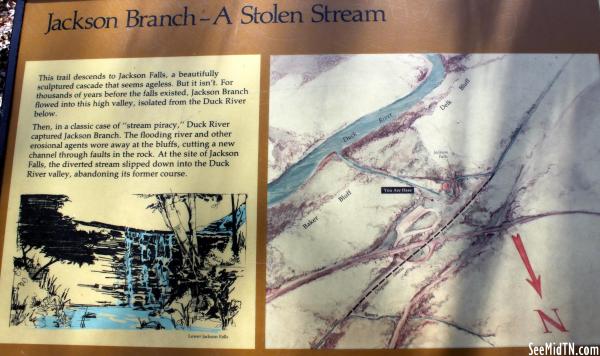 Hickman: Jackson Branch - A Stolen Stream