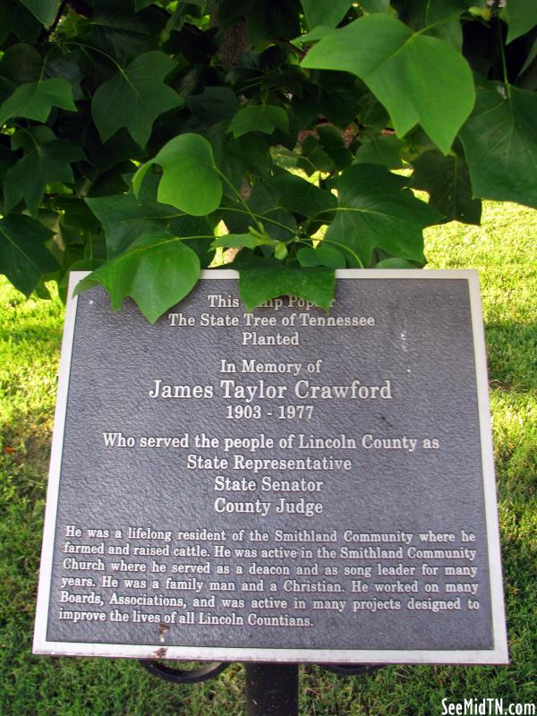 Lincoln: James Crawford Tree