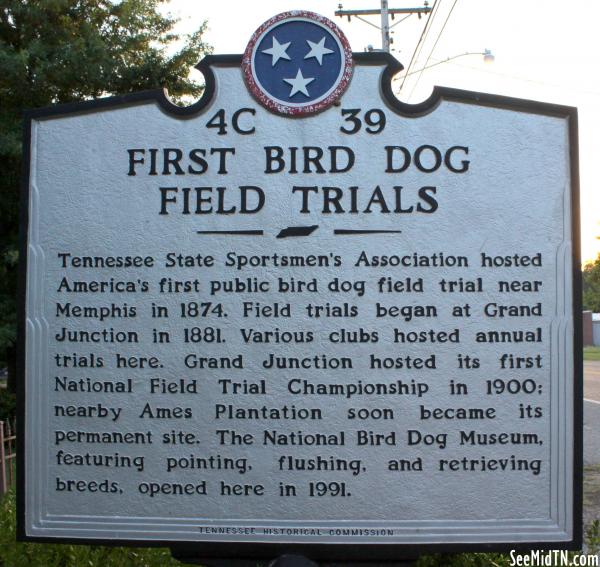 Hardeman: First Bird Dog Field Trials