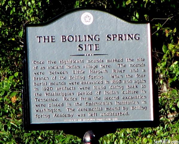 Boiling Spring Site