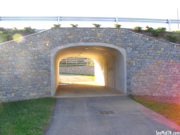 Two Rivers Greenway Pedestrian Tunnel
