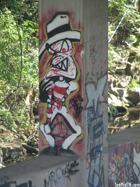 Richland Creek graffiti