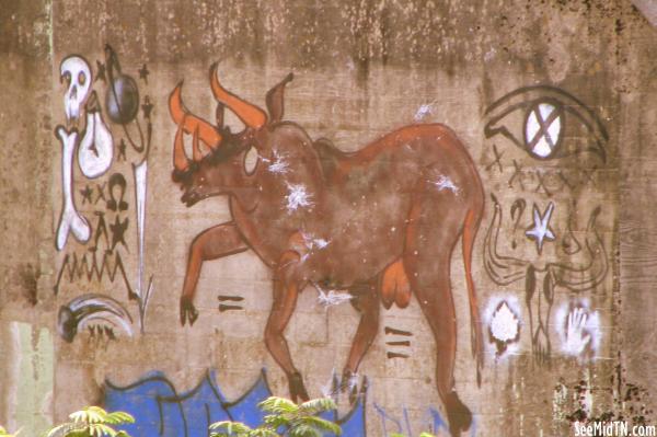 Bull Graffiti 