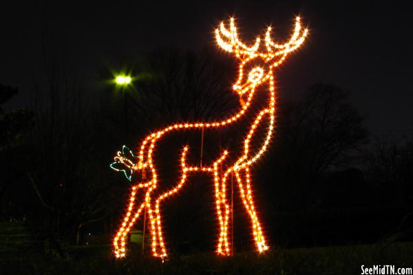 Cristmas Lights: Deer with Butterfly