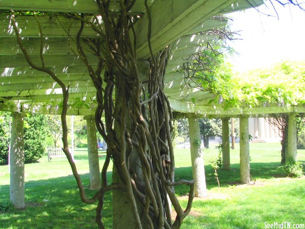 Centennial Park Fulton Arboretum