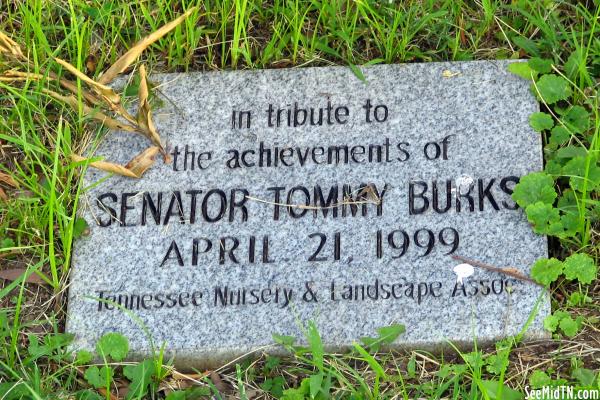 Senator Tommy Burks
