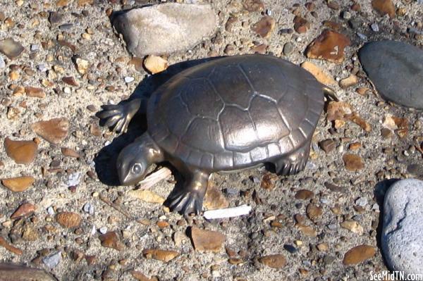 Cumberland River Greenway embedded art Turtle