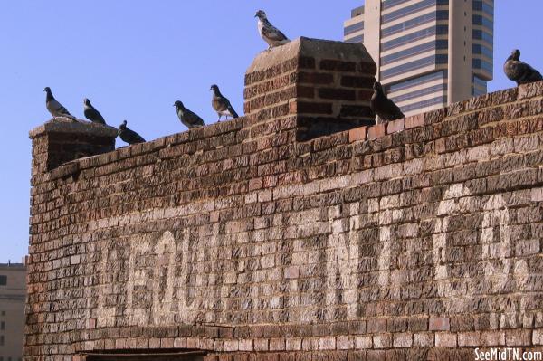 Pigeons on the L Equipment Co. Building