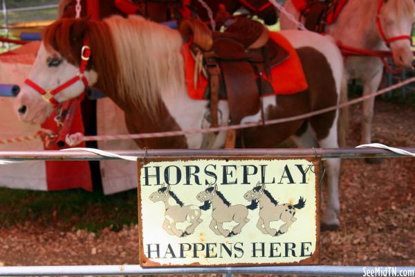 Volunteer Village: Horseplay Happens Here