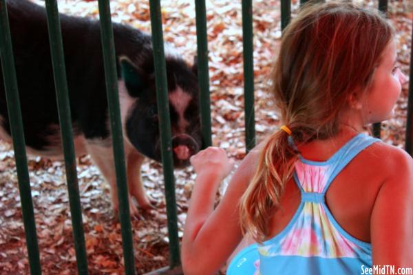Petting Zoo: Feeding a pig